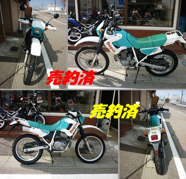 HONDA�@�@XL-Degree