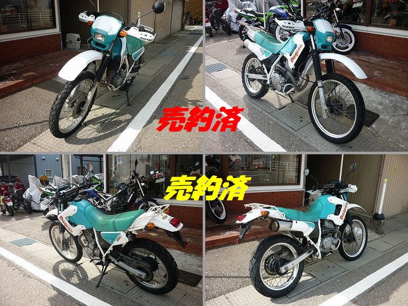 HONDA�@�@XL-Degree
